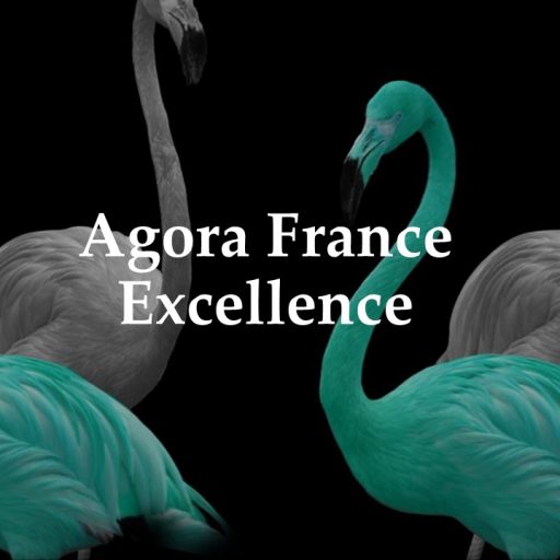 Agora France Excellence