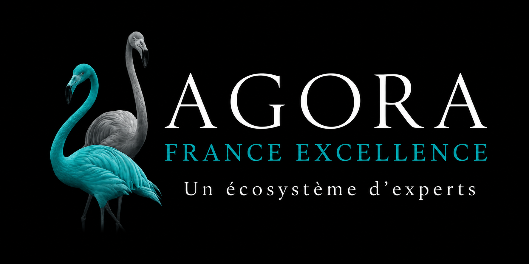 logo-agora-france